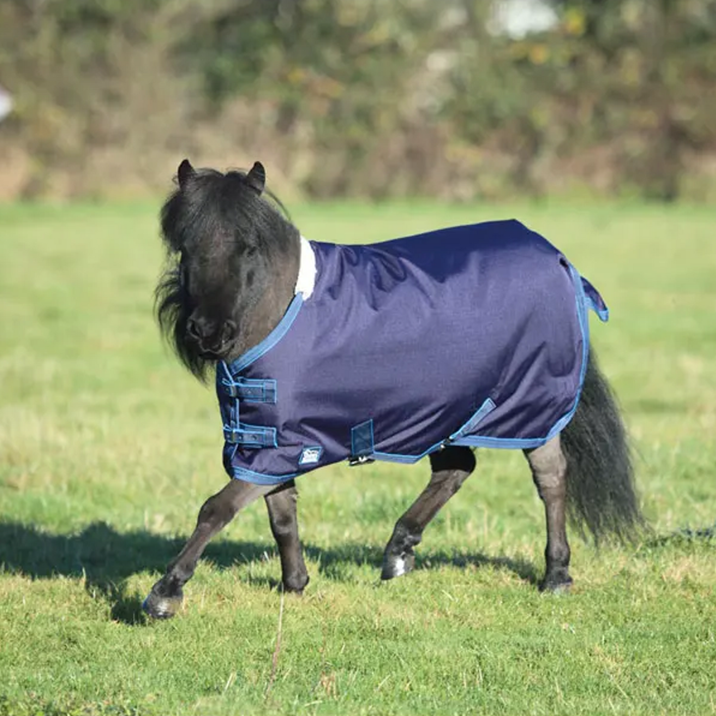 Mini Original Lite Turnout Rug