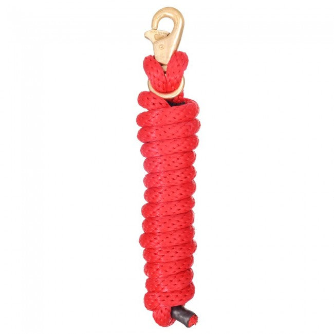 Laisse poly avec mousqueton Triggerbull remplaçable