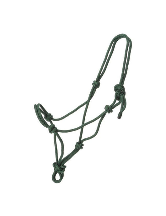 Lot de 6 mini licols en corde