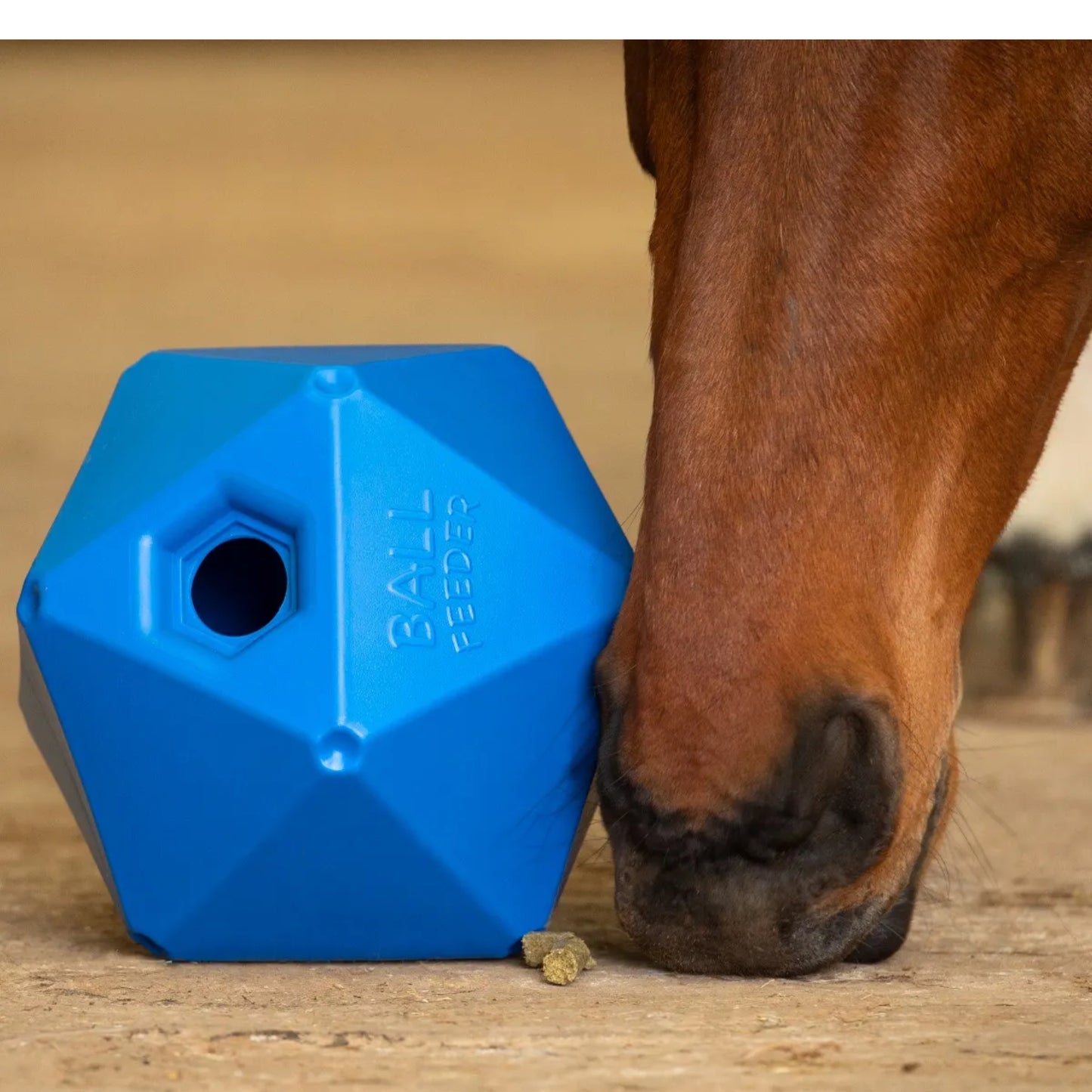 Ball Feeder