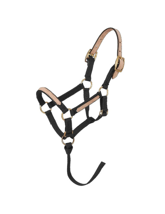 Mini licol amovible en nylon