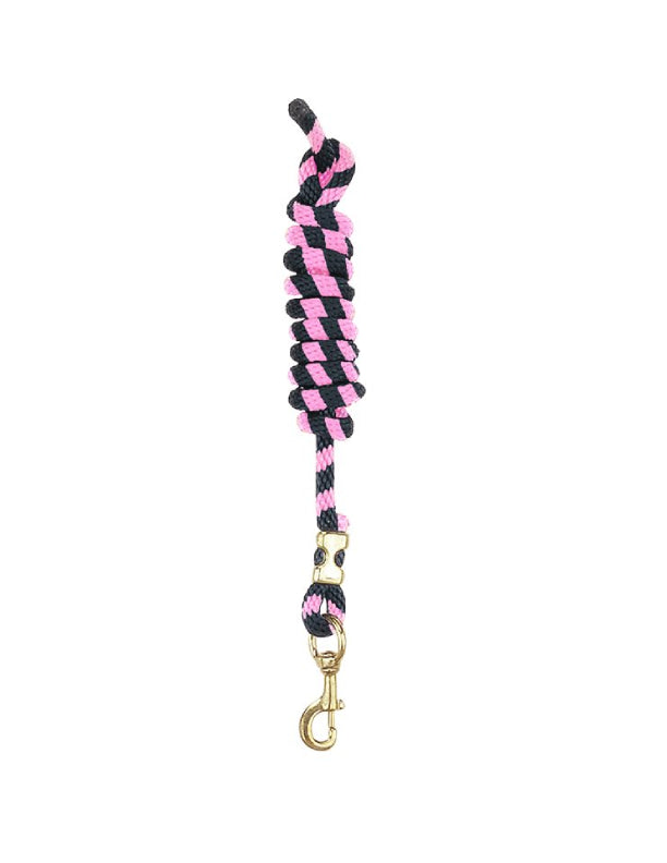 Laisse en nylon avec mousqueton