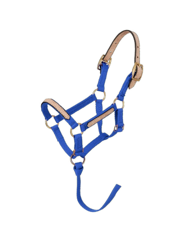 Mini licol amovible en nylon