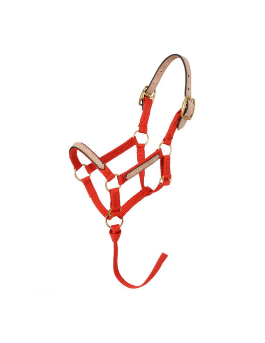 Lot de 6 mini licols détachables en nylon
