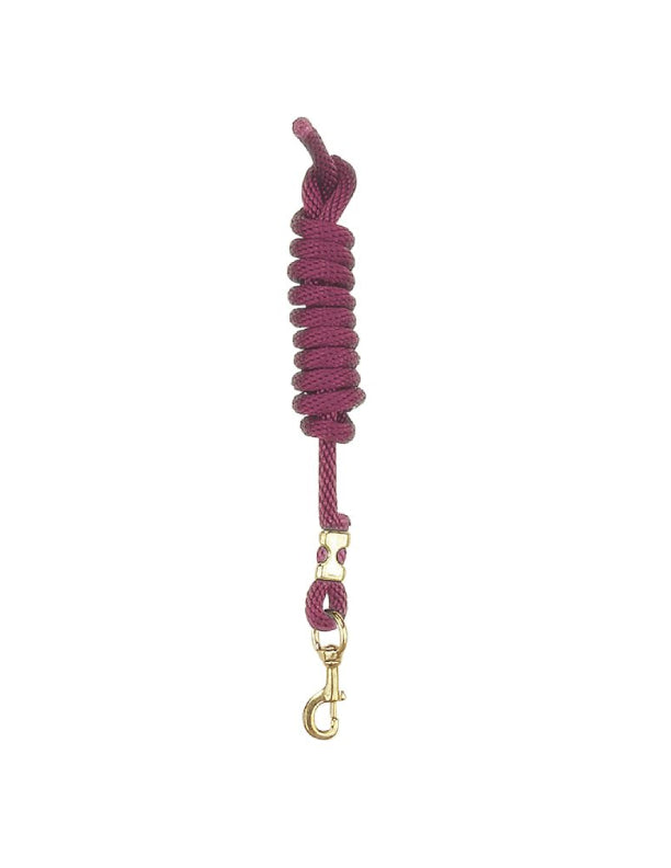 Laisse en nylon avec mousqueton