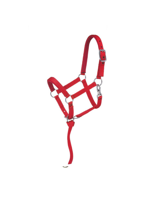 Mini licol rembourré en nylon de luxe