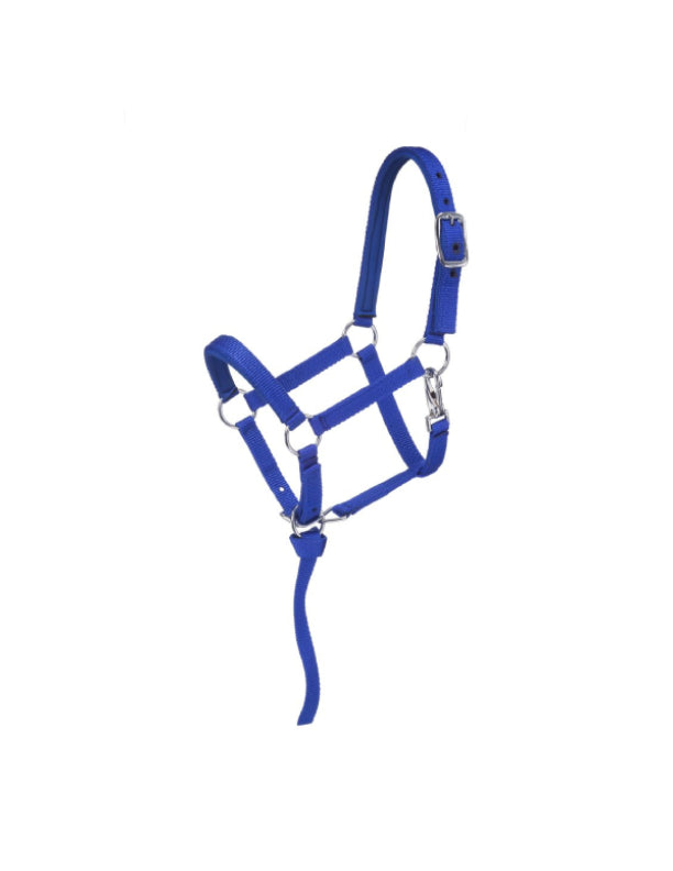 Mini licol rembourré en nylon de luxe