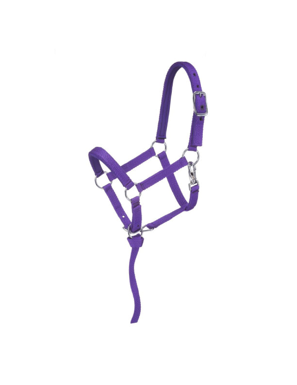 Mini licol rembourré en nylon de luxe