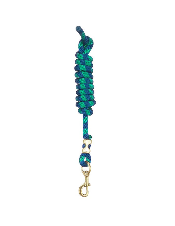Laisse en nylon avec mousqueton