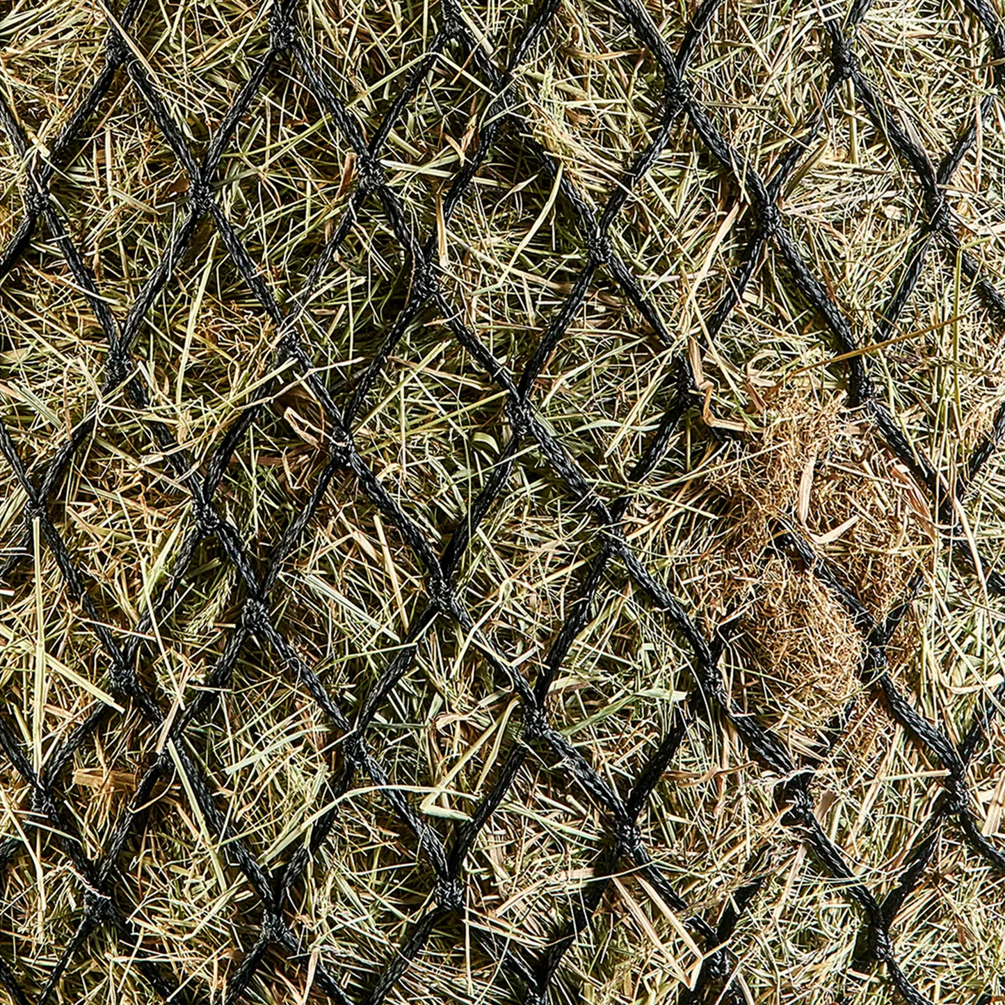 Haylage Net