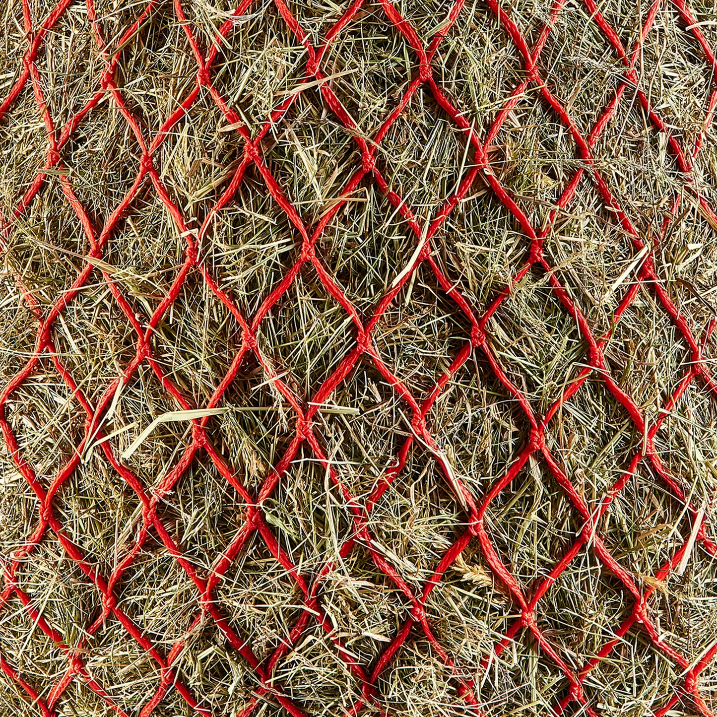 Haylage Net