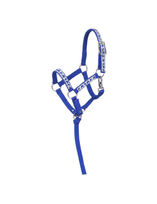 Licol en nylon à imprimé mini tête de cheval