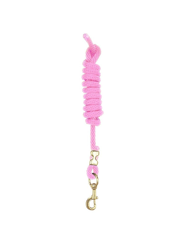 Laisse en nylon avec mousqueton