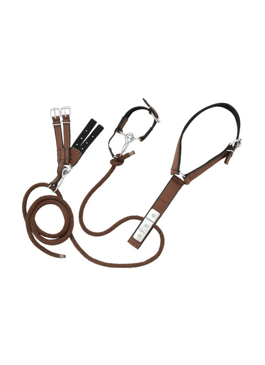 Mini entrave d'élevage