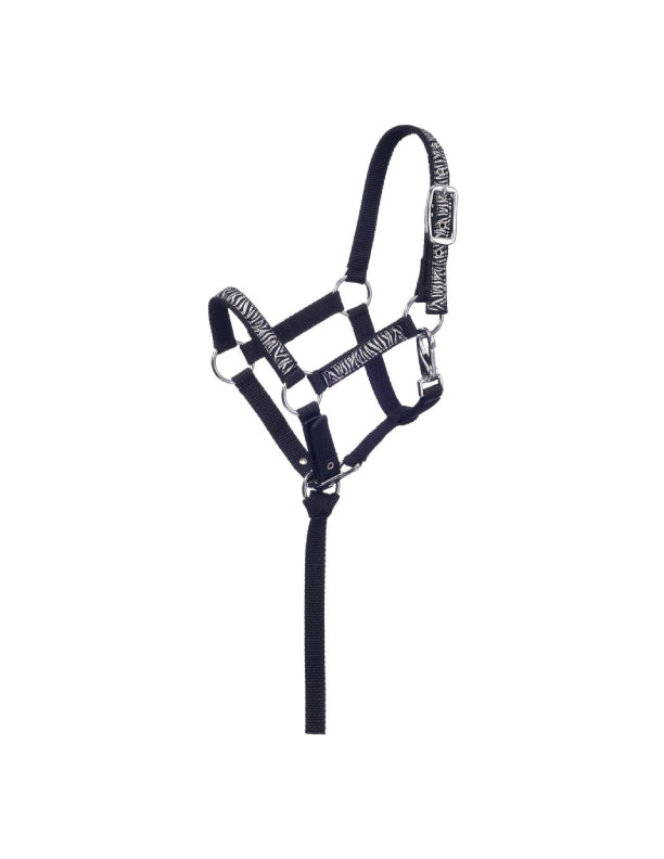 Licol en nylon mini zèbre