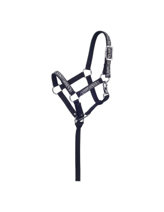 Licol en nylon mini zèbre