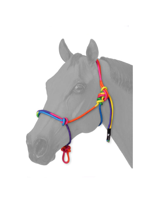 Mini licol en corde multicolore