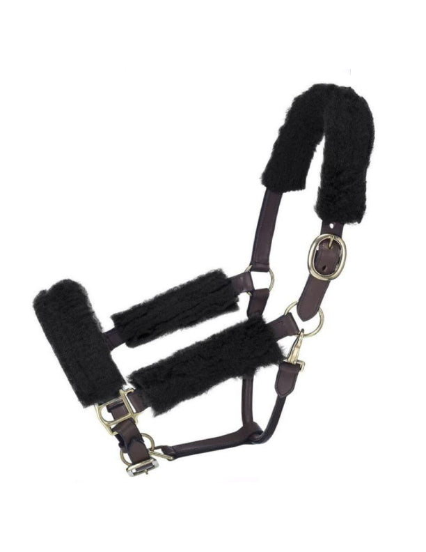 Kit mini licou polaire