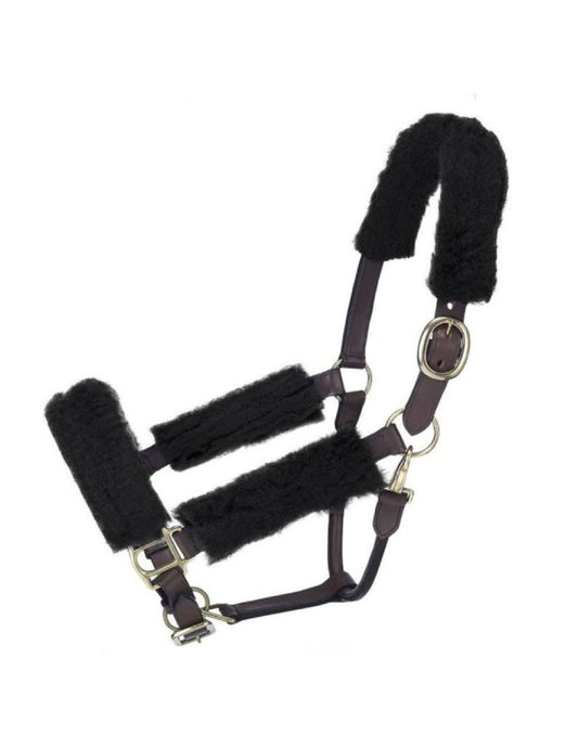 Kit mini licou polaire