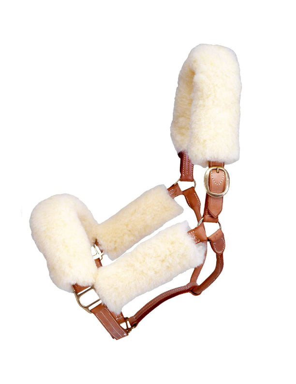 Kit mini licou polaire