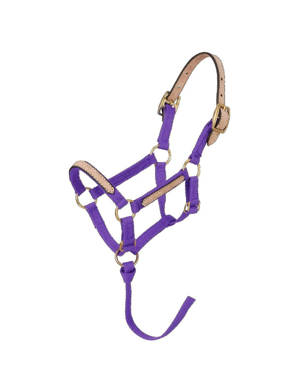 Mini licol amovible en nylon