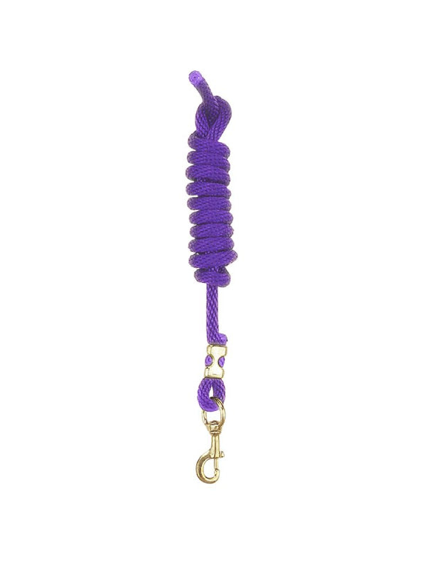 Laisse en nylon avec mousqueton