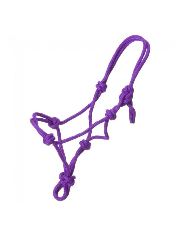 Mini licou en corde en poly