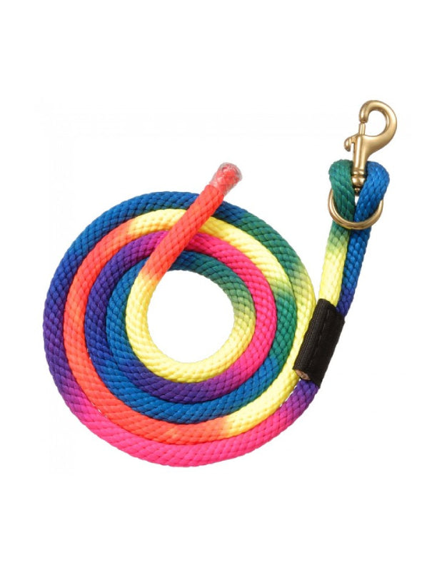 Laisse arc-en-ciel en nylon avec mousqueton remplaçable