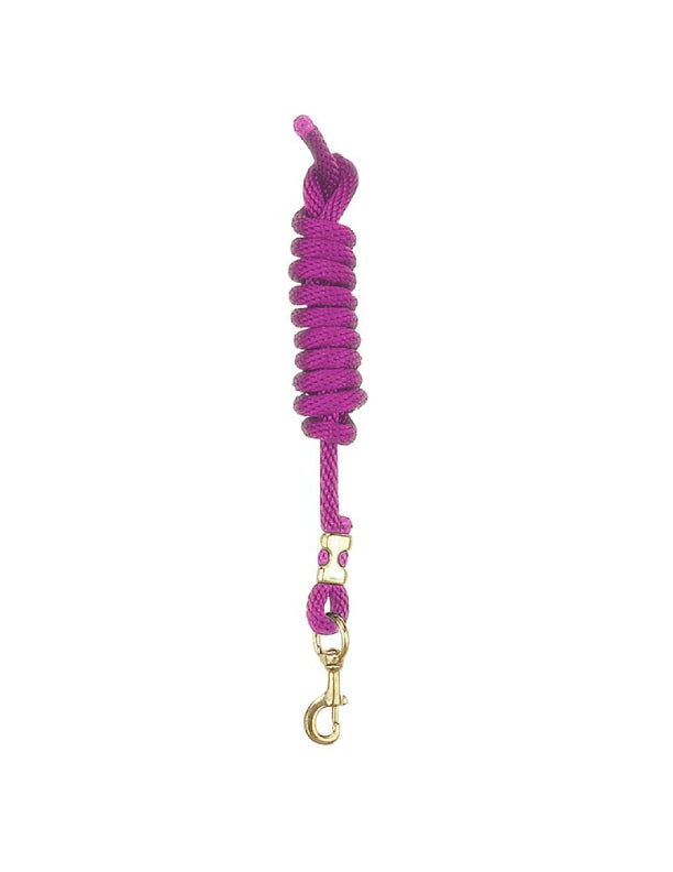 Laisse en nylon avec mousqueton
