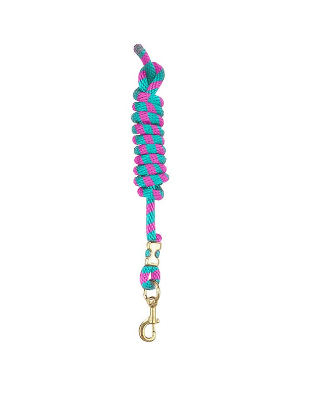 Laisse en nylon avec mousqueton