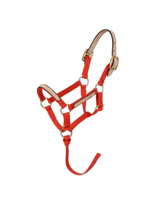 Mini licol amovible en nylon