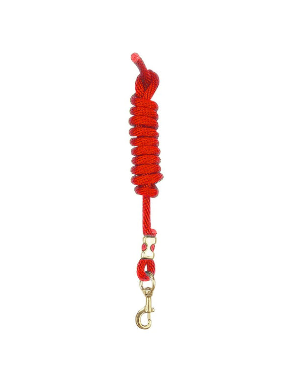 Laisse en nylon avec mousqueton