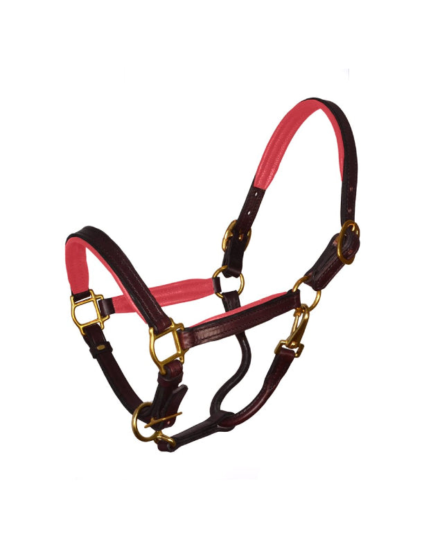 Licol en cuir doux rembourré Mini & Pony