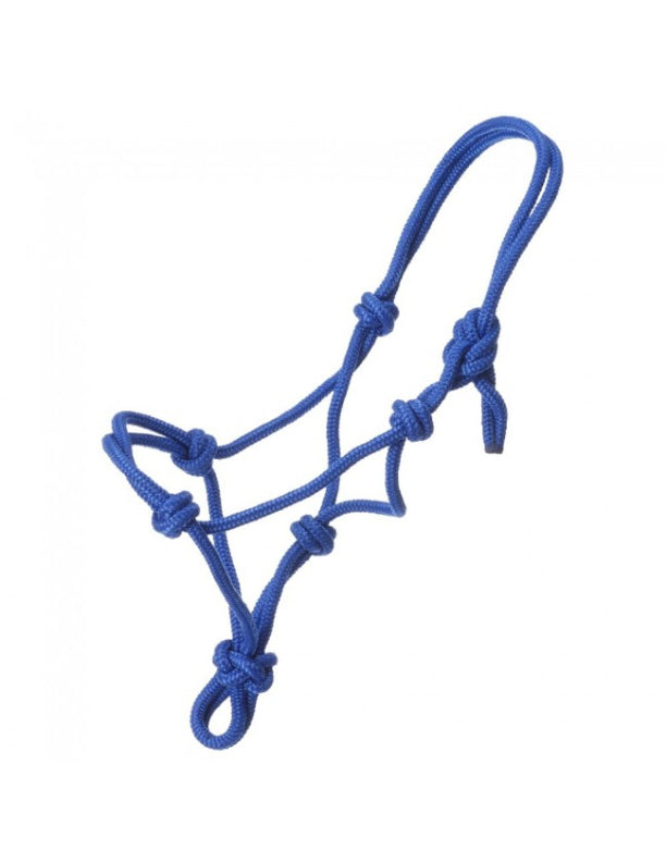 Mini licou en corde en poly