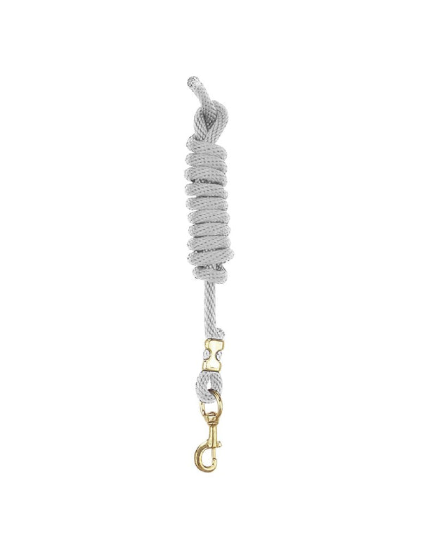Laisse en nylon avec mousqueton