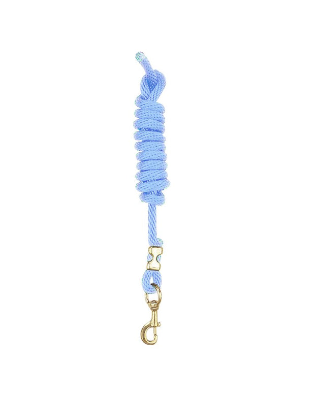 Laisse en nylon avec mousqueton