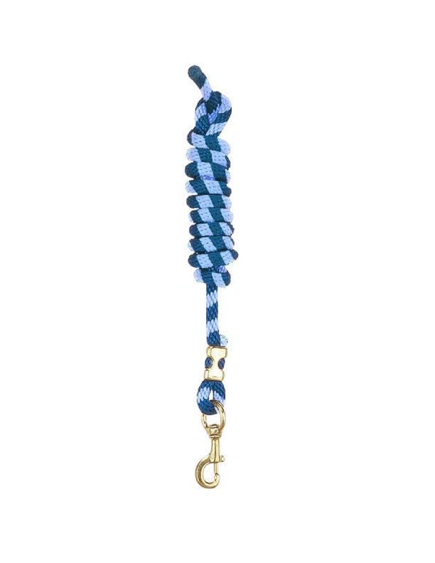 Laisse en nylon avec mousqueton