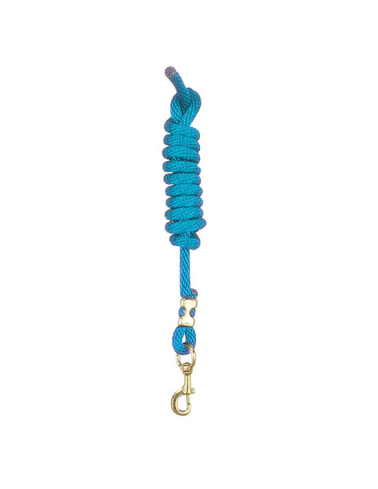 Laisse en nylon avec mousqueton