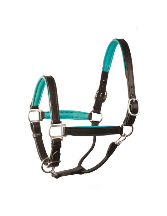 Licol en cuir doux rembourré Mini & Pony