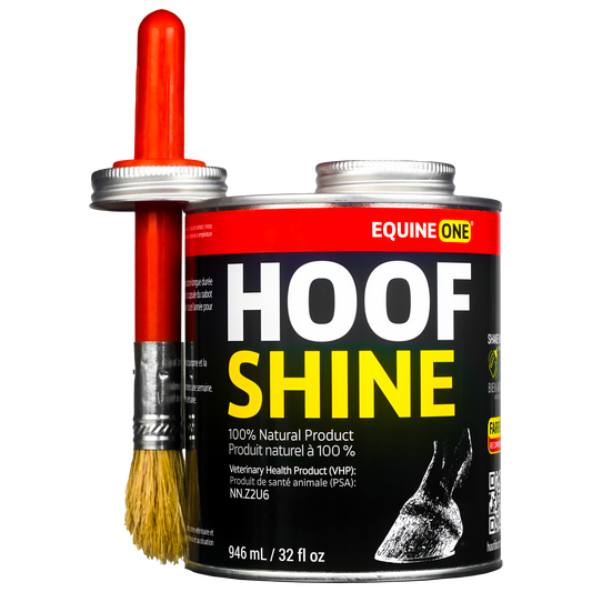 Equine One Hoof Shine