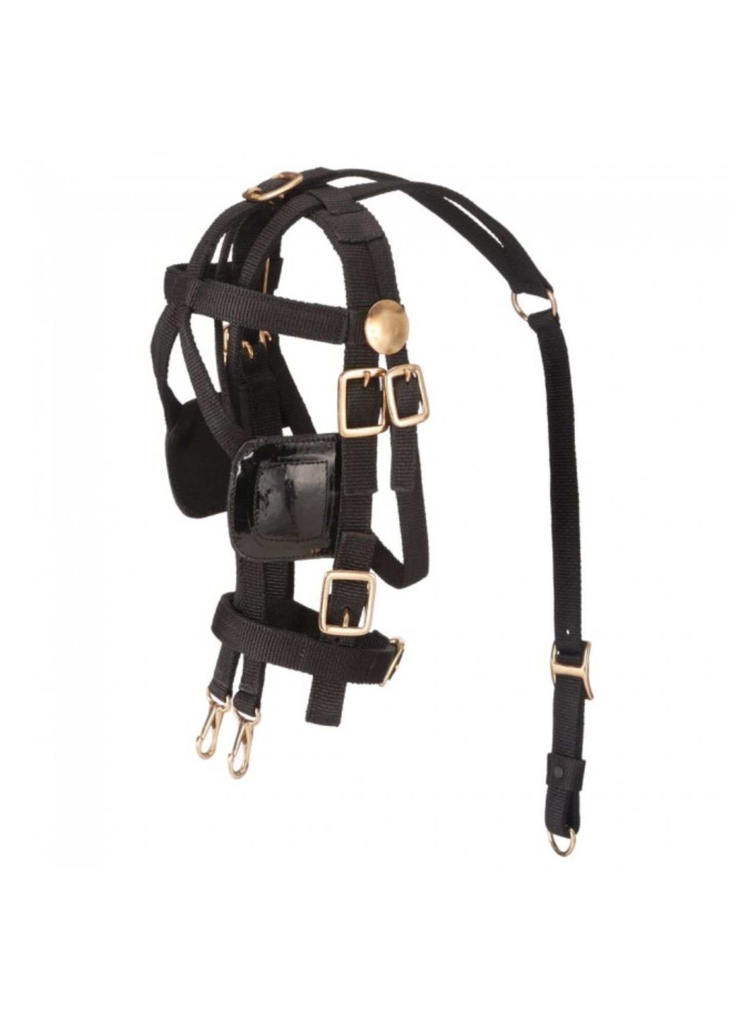 Mini Leather Replacement Bridle